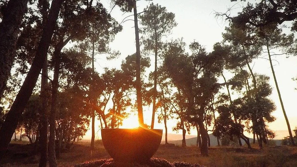 Há banhos de floresta e terapias de bem-estar entre os tesouros da Malcata