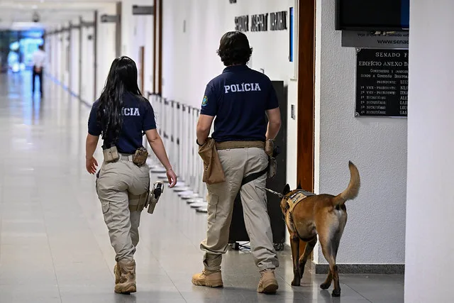 Veterinária é atacada por cachorro do Senado: como funciona o Serviço de Cinotecnia do Legislativo