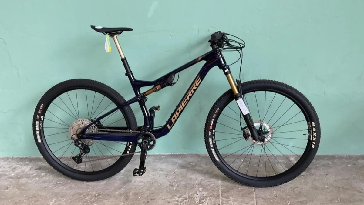 Après sa faillite, le numéro un européen du vélo brade ses vélos Lapierre et Batavus aux enchères