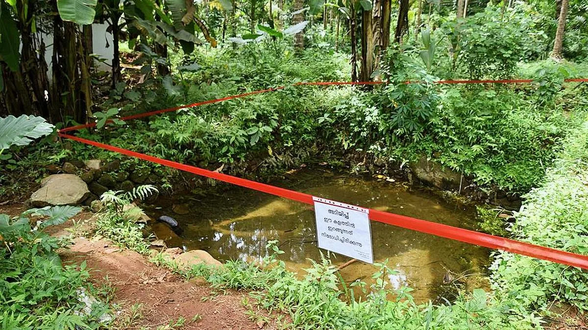 Health authorities warn people with head injuries to avoid public waterbodies
