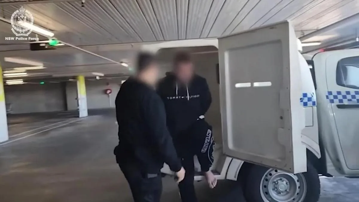 Three-day DV crackdown leads to hundreds of arrests