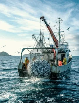 Sea Harvest’s first-half earnings rise despite headwinds