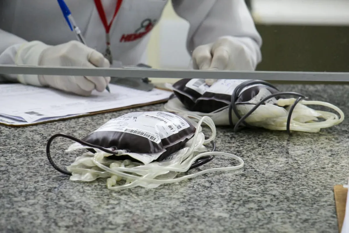 Tatoo, piercing e idade: novas regras para doação de sangue já valem em MS