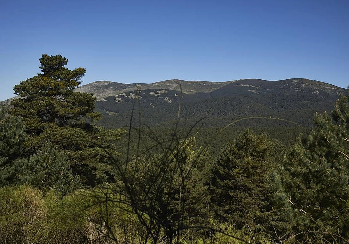 La ruta senderista por la Sierra de Guadarrama que aúna literatura y naturaleza