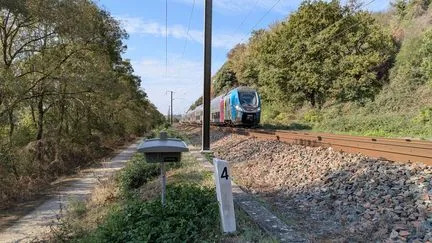 "Assurer la régularité des trains et préserver la biodiversité" : SNCF Réseau teste un système d'effarouchement des animaux, pour éviter les collisions