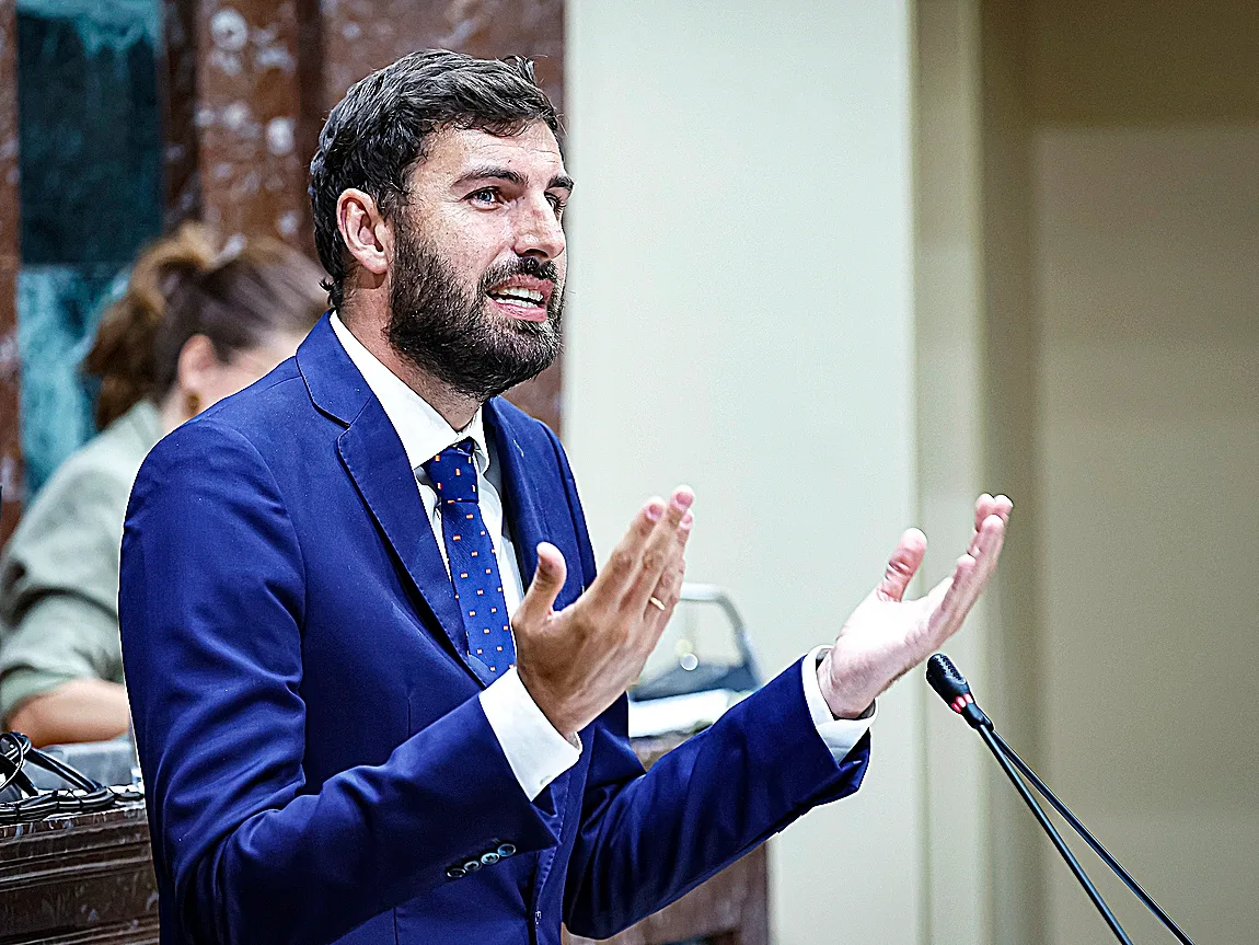 Imputados dos cargos de Vox por "falsificar" la firma de Antelo para poder cesarlo como portavoz