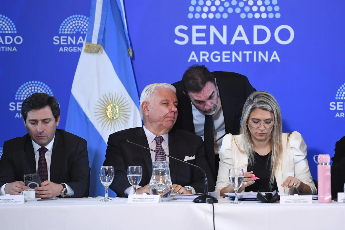Nueva reunión por el Súper RIGI en el Senado: no hubo representantes del Ejecutivo ni indicios de dictamen