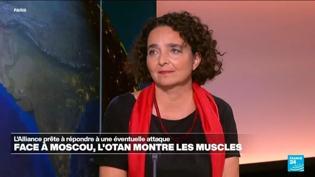 Incidents en mer Noire : l'Otan ajustera "selon les besoins" son dispositif de défense