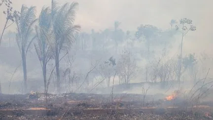 "Un avant-goût de notre avenir" : le phénomène météorologique El Niño pourrait causer 451 000 décès supplémentaires d'ici février 2027