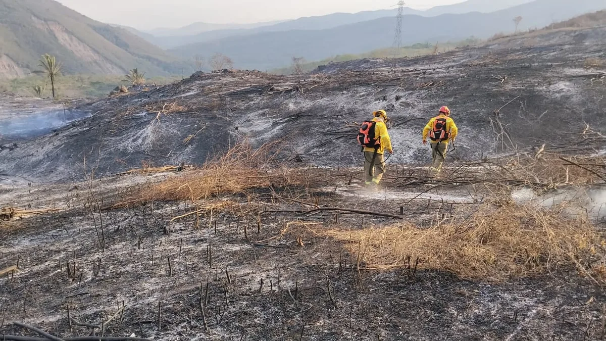 Cundinamarca sumó 828 incendios forestales en 2026: cerca de 3.140 hectáreas resultaron afectadas