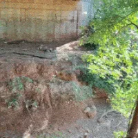 Leito seco revela profundidade de antigos poços do Rio da Prata
