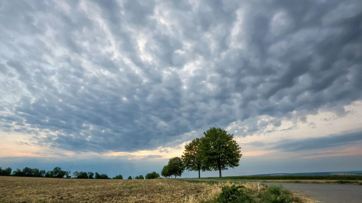 Wetter: Kühleres Wetter in Sicht - Was die neue Woche bringt