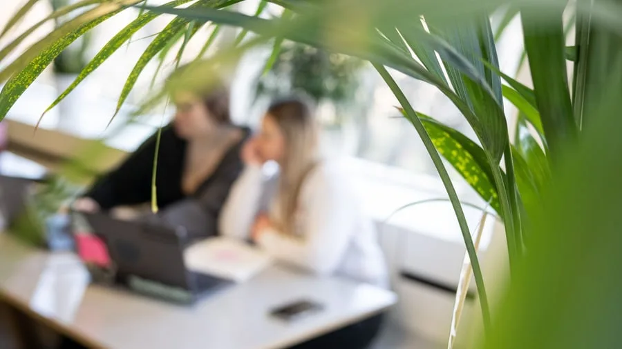 Unkonzentriert und langsam?: Was hilft mir, nach dem Urlaub wieder im Job anzukommen?