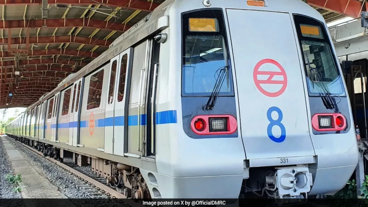 "They Grabbed, Punched Him": Delhi Woman Recounts Son's 'Murder' In Metro