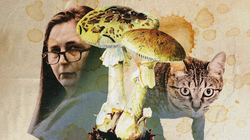 The mushroom-foraging claim at the heart of Erin Patterson’s appeal