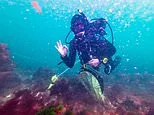 Diver explores mysterious British town beneath the sea that vanished 700 years ago and was home to just 117 people