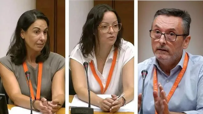 La jueza imputa a instancias de Anticorrupción a la cúpula directiva de la polémica urbanización alicantina de Les Naus
