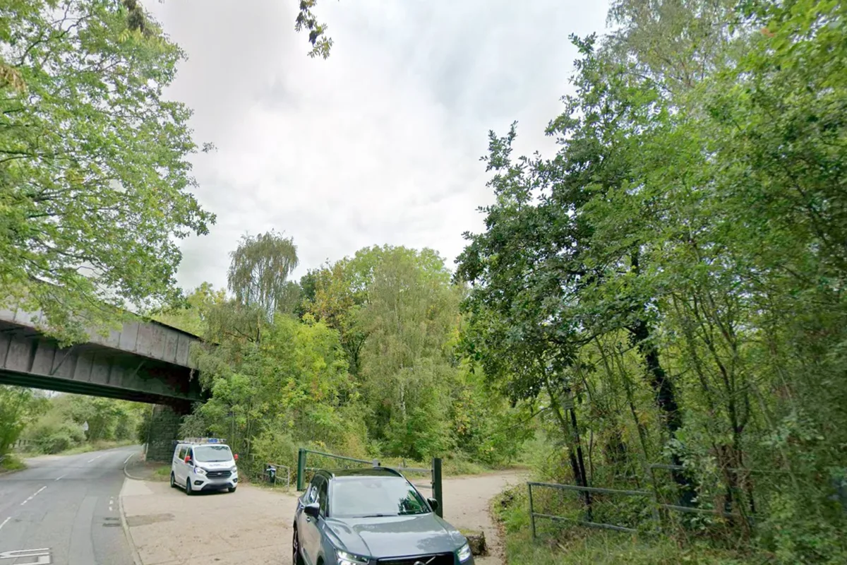 Murder investigation launched after man bitten by dog dies