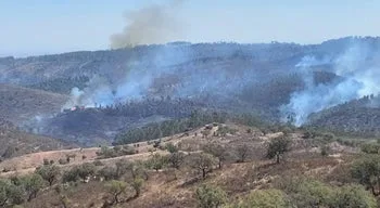 Cinco meios aéreos e mais de 300 bombeiros combatem fogo em Portel