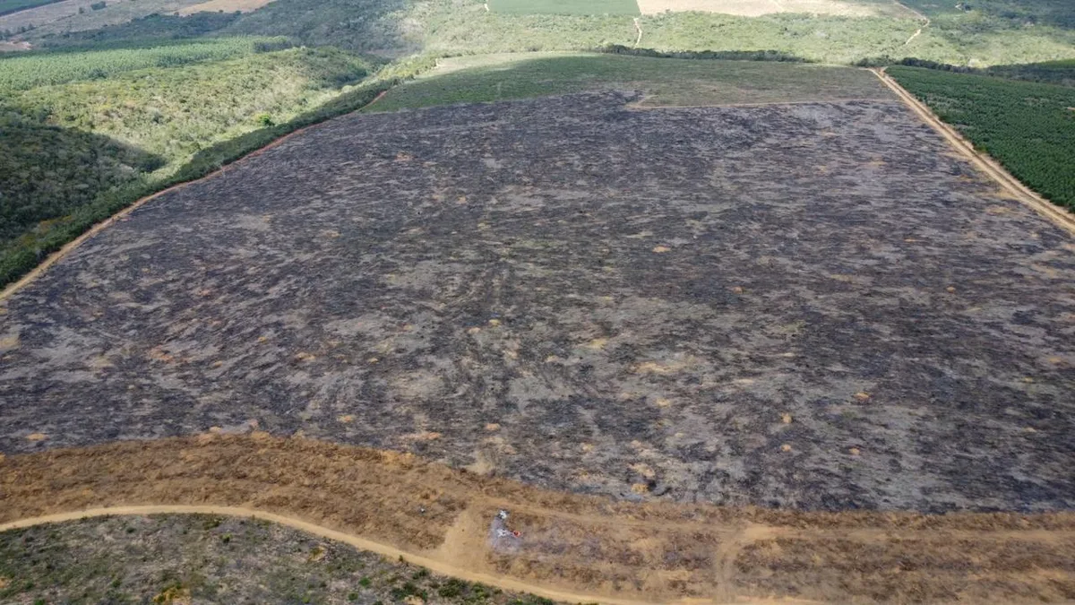 Operação localiza mais de 200 hectares de desmatamento ilegal na Bahia