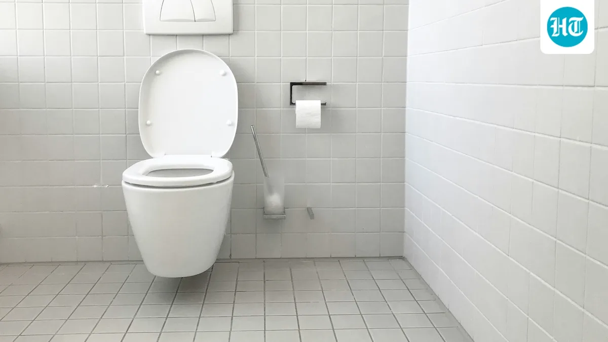 Programmer collapses on office toilet, death ruled non-work-related as he never turned on his computer