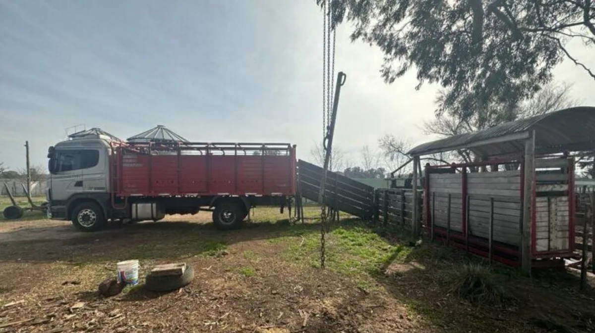 Revocan la decisión judicial que rechazó devolver “vacas secuestradas”, pero siguen en manos del denunciante