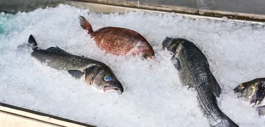Insel Syros: Steuerfahnder in Griechenland verhängen Strafe – weil ihnen Fisch zu frisch erschien