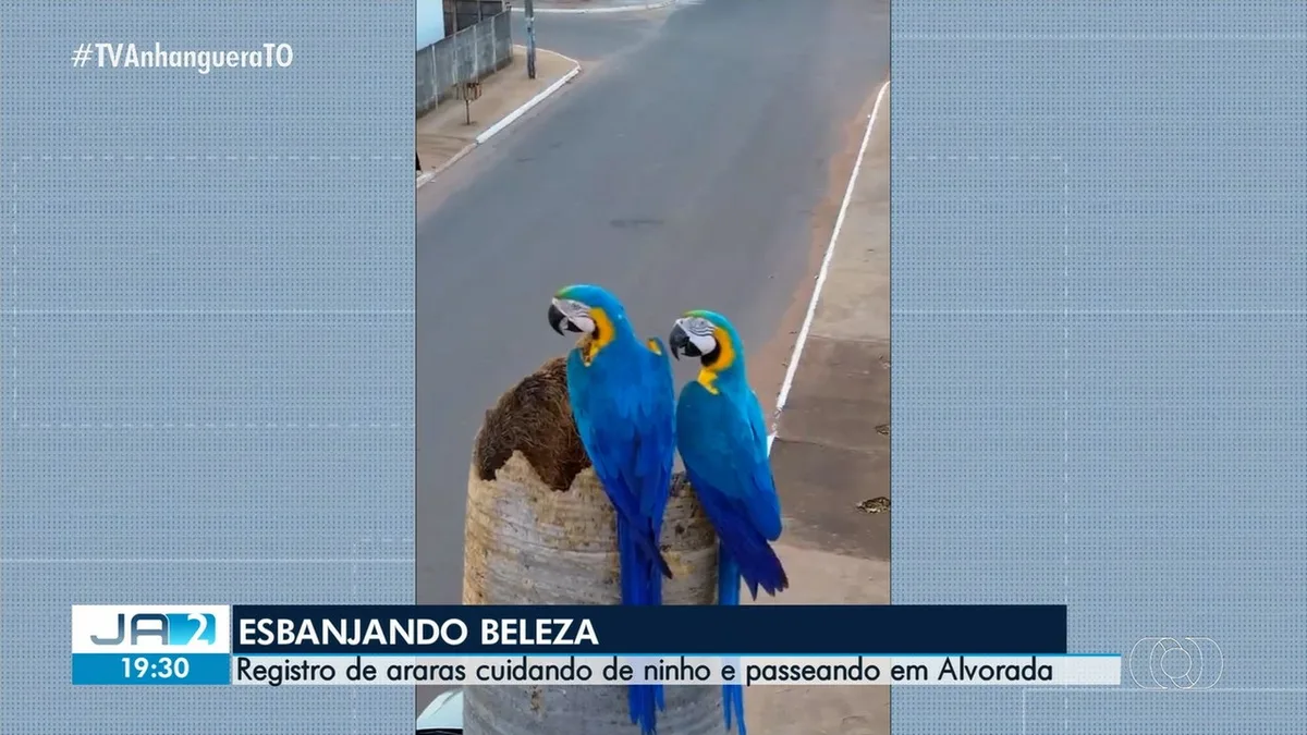VÍDEOS: Jornal Anhanguera 2ª Edição-TO de quarta-feira, 23 de setembro de 2026