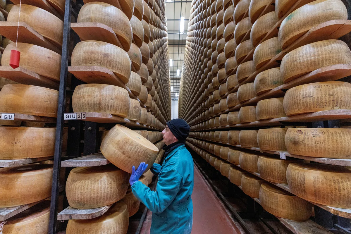 Et si manger du fromage était finalement bon pour la santé ? Les explications du Pr Antoine Flahault