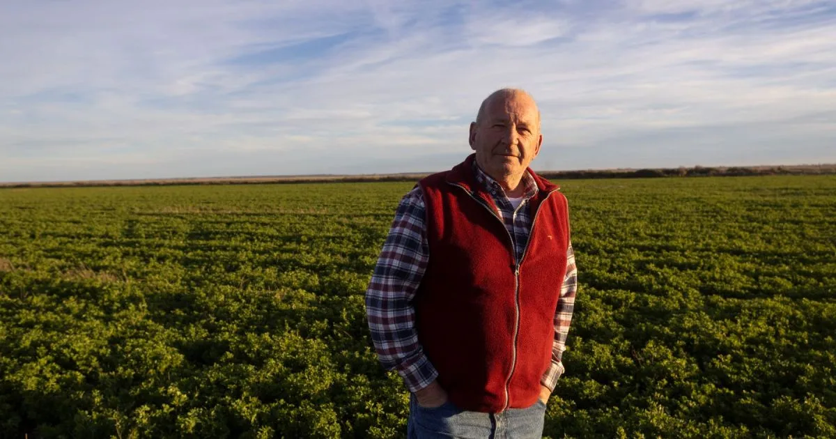 Era comerciante, compró un campo abandonado y 30 años después produce carne y cultivos en la Patagonia