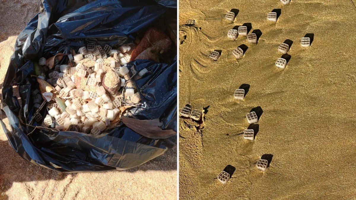 Ibama apura origem de peças plásticas em praias do ES e danos ambientais