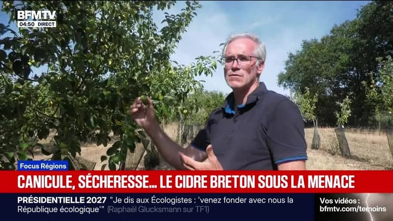 Focus Régions - 24/08