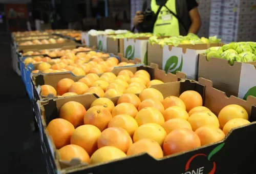 SA citrus exporters score breakthrough in India, but tariffs remain a major hurdle