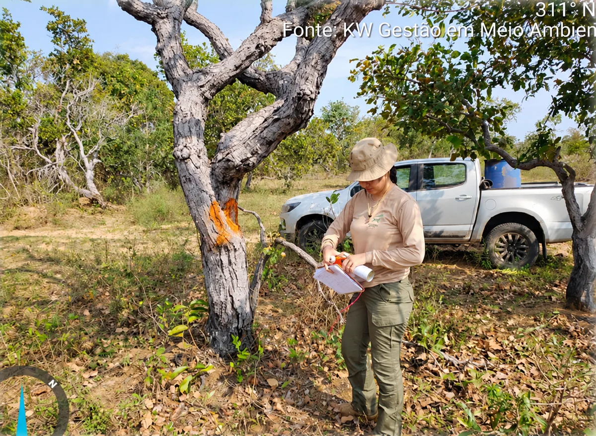 Audiência discutirá retirada de vegetação em quase 7 mil hectares em Corumbá