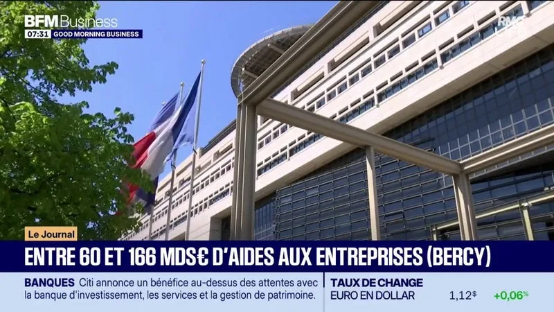 Entre 60 et 166 milliards d'euros d'aides aux entreprises