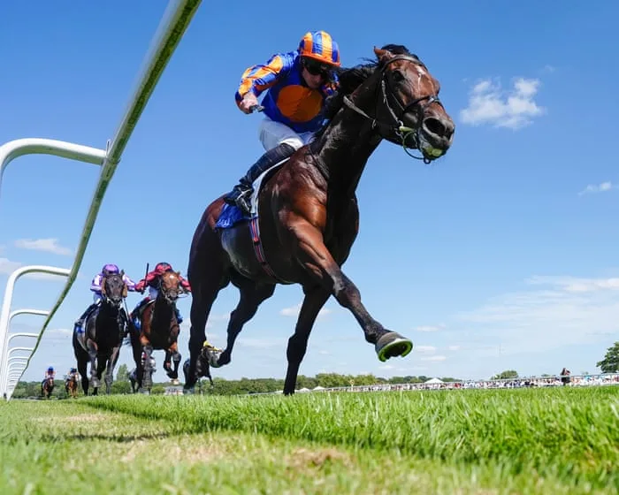 York Ebor meeting: International Stakes and more on day one – horse racing live
