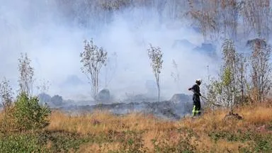 Warum Waldbrand-Rauch so gefährlich für die Gesundheit ist