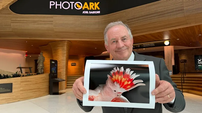 The winner is Cindy: The story behind Brisbane 2032’s emblem inspiration