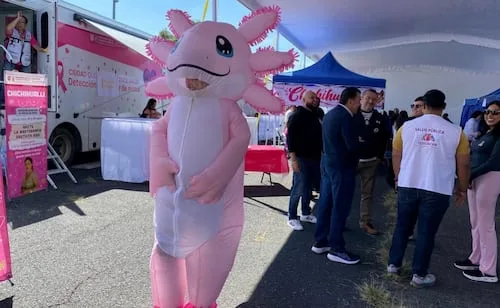 CDMX lanza la campaña "Chichihualli, el mastógrafo móvil"; ofrecerá estudios gratis para detectar cáncer de mama