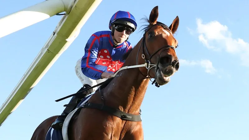 Guest House on track for Everest after dominant victory in San Domenico