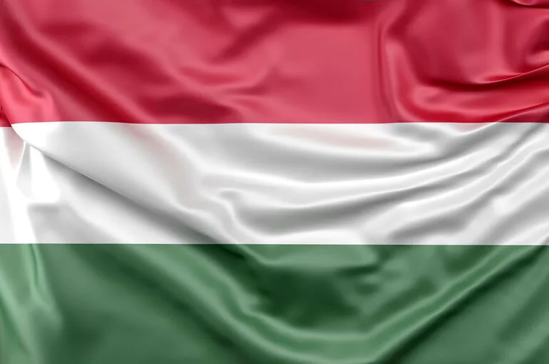 Euractiv: Венгрия блокирует переговоры о вступлении Украины в ЕС