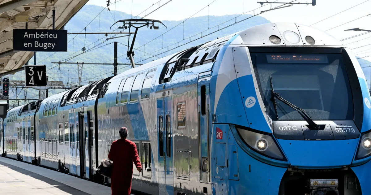 Info trafic. Ligne TER à l'arrêt, véhicule en panne, gros bouchons : circulation difficile autour de Lyon ce matin