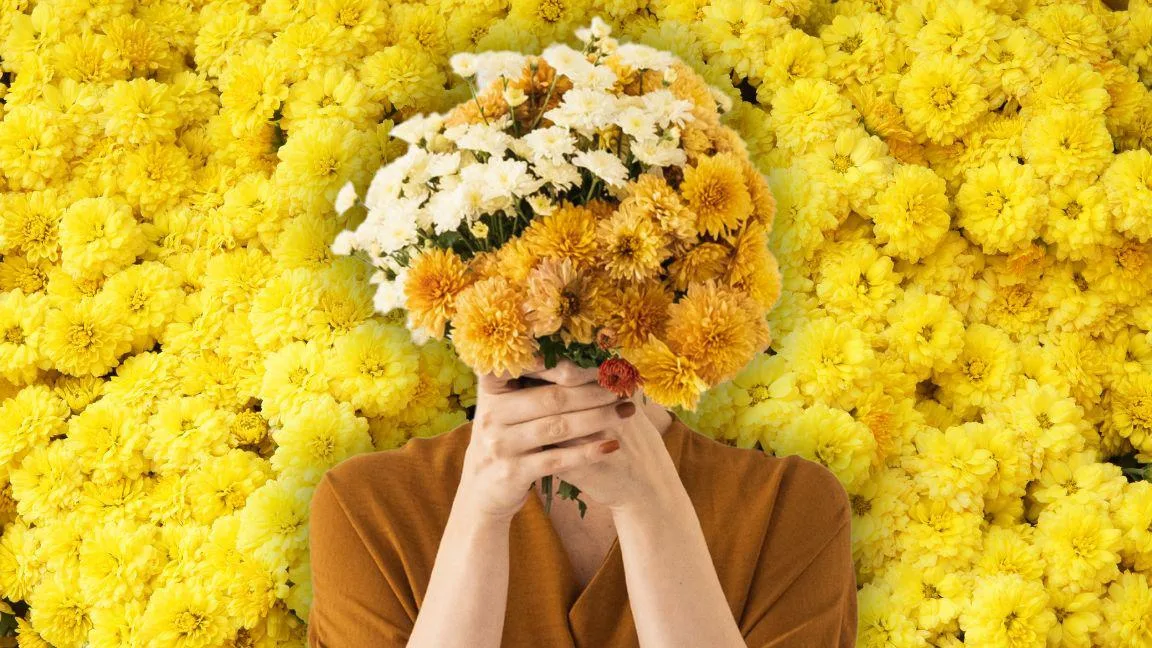 Regalar flores amarillas el 21 de septiembre: ¿por qué se obsequian y qué significan?