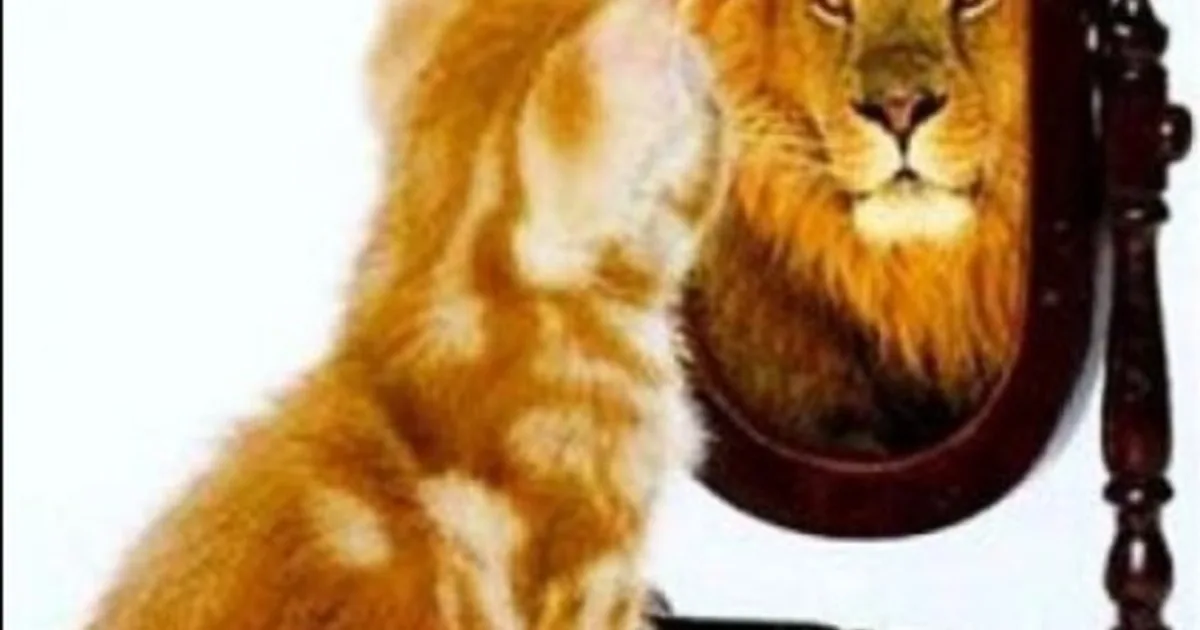 Increíble invento científico: un espejo "mentiroso" que no refleja la imagen original