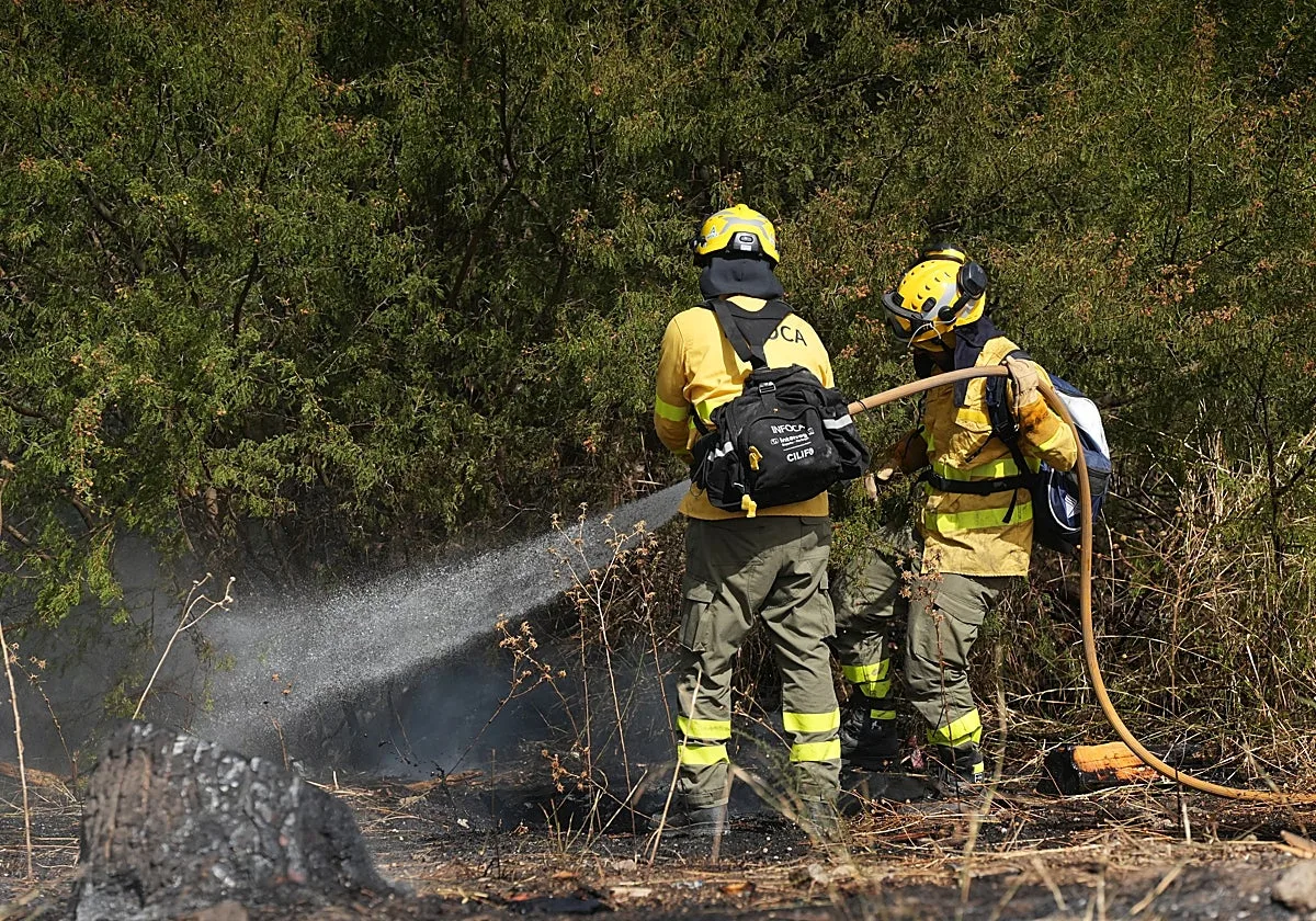 Un incendio forestal en Nerja moviliza ocho medios aéreos y 80 bomberos