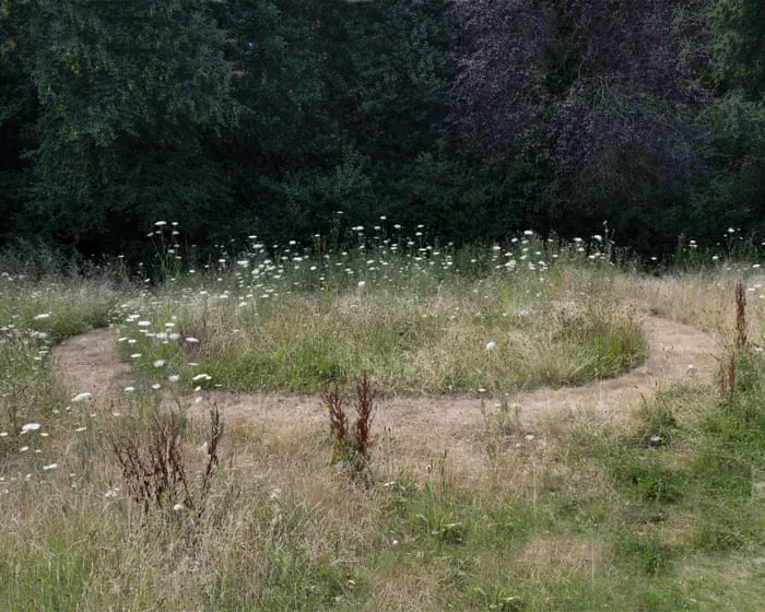 Sod’s law: what can two turf swaps 40 years apart tell us about Britain’s biodiversity crisis?