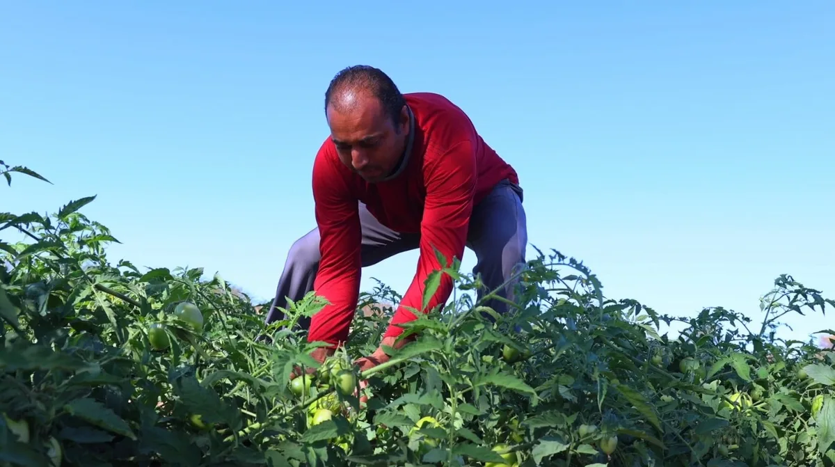 Entidades pedem apoio de candidatos em defesa da agroecologia