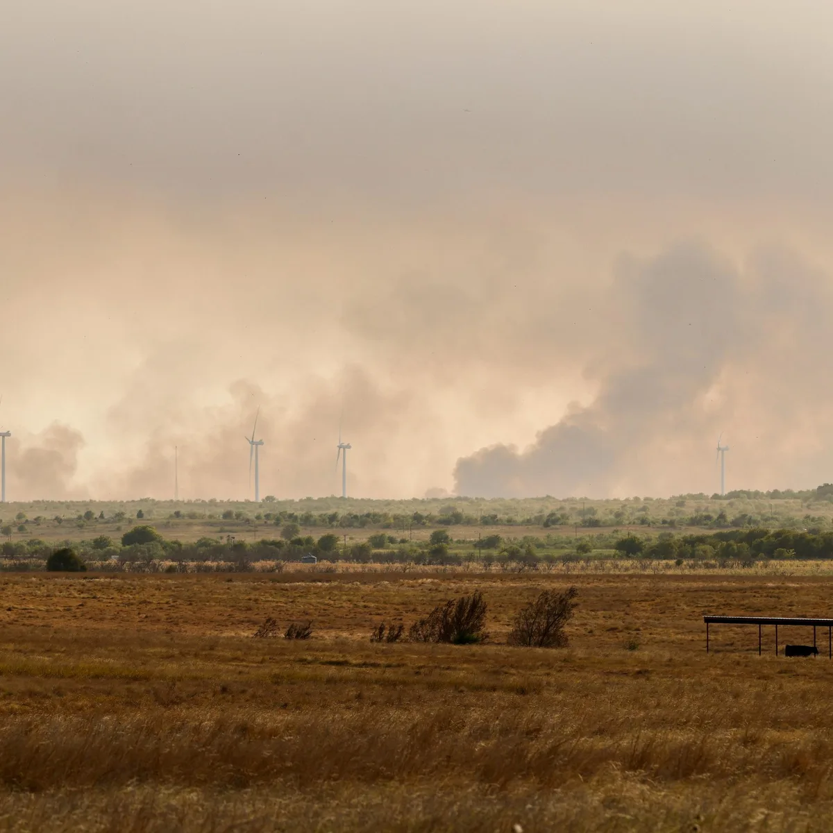Trockenheit - Flächenbrand in Texas breitet sich aus - Waldbrand bei Barcelona unter Kontrolle