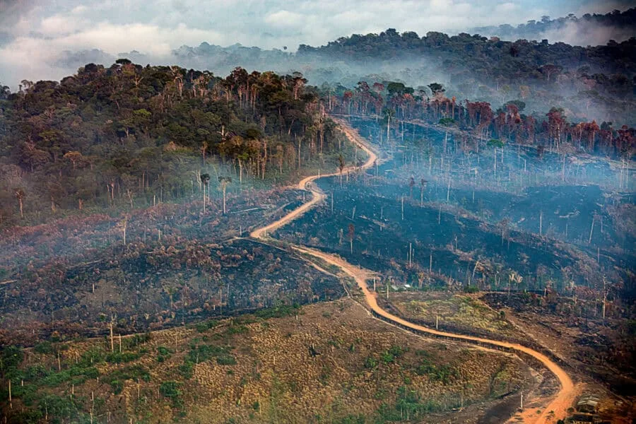 Acre fica fora da lista dos 20 municípios com mais queimadas no Brasil