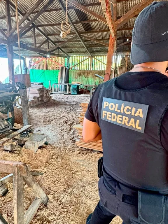 PF no Acre deflagra operação contra retirada ilegal de madeira de terra indígena na divisa com o Amazonas